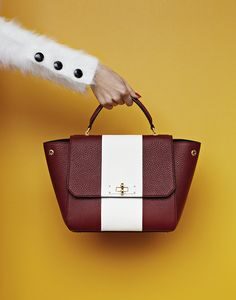 Leather Bag and Shoes